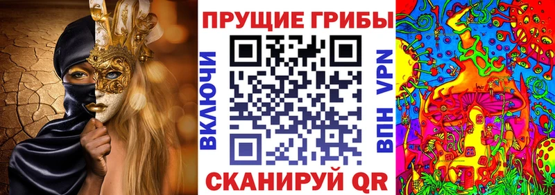 наркота  Яровое  KRAKEN ССЫЛКА  Галлюциногенные грибы Psilocybe 